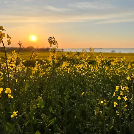 Tohuus Op'n Doerp * Гросенброде