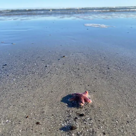 Tohuus Op'n Doerp Гросенброде